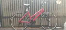 Sepeda merah apa adanya