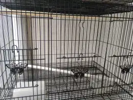Kandang lovebird