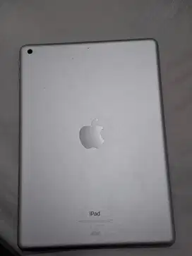 Ipad only gen 6