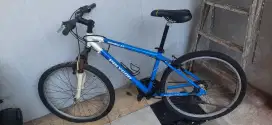 Sepeda polygon dewasa