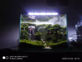 Aquarium air terjun pasir