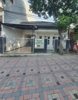 Rmh 1¹/4 Lt (ngantong belakang) dkt Ubaya di Rungkut mejoyo Sby