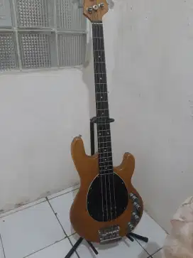 GITAR BASS ERNI BALL CUSTOM