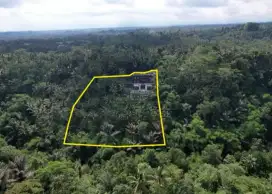 Dijual tanah cocok untuk resort