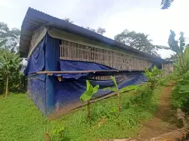 Jual kandang ayam pedaging