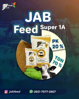 Jabfeed, Pakan Konsentrat Sapi Protein Terbaik di Jawa Timur