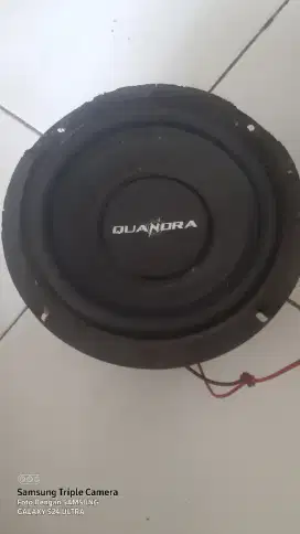 Subwoofer 6 inc