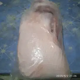 Bebek frozen mantaap