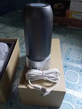 Car air purifier