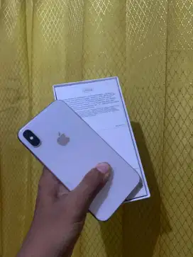 Iphone x 256 gb ex inter