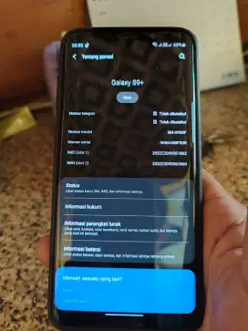Samsung s9 plus 6/64 sein