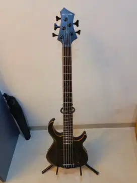Bass Sire M2 5strings Transparent Black Baru 3 bulan pake