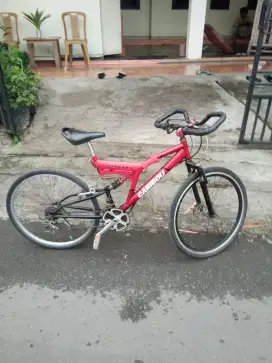 Sepeda Sport mulus
