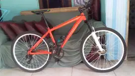 Mtb polygon R26 speed 7 cat repaint