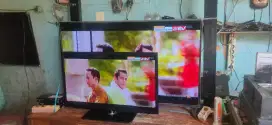 2 bh Tv led Polytron 50 dan 32