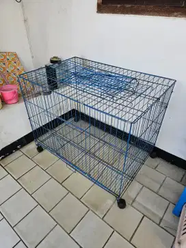 Kandang Kucing Anggora