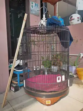 Kandang Murai nomer 1 Nego