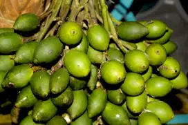 buah pinang 6rb/kg