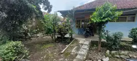 Rumah luas tanah subur
