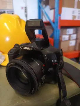 Canon kiss x4/550d + 2 lensa NEGO !!