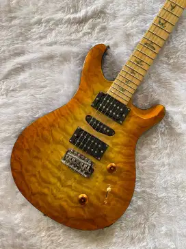 Gitar Elektrik Model PRs