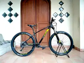 Polygon Xtrada 7