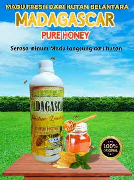 Madu Madagascar, madu hutan dan madu ternak asli