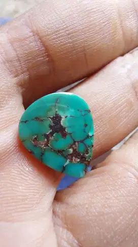 Pirus persia hijau tosca 15.15.4