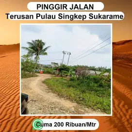 tanah sangat2 strateghis DI PINGGIR JALAN UTAMA TERUSAN PULAU SINGKEP