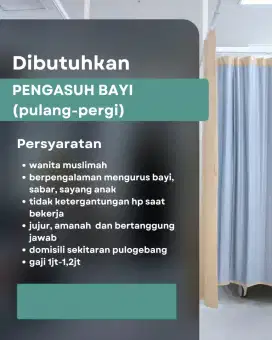 Dibutuhkan Pengasuh Bayi (Segera)