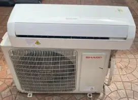 AC Sharp 1 PK Mulus