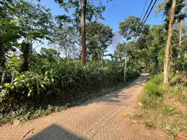 Dijual tanah milik pribadi harga seduluran