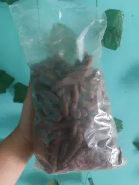 Kue gabus coklat manis