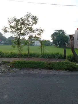 Dijual Tanah Sawah SHM Strategis Dekat Kampus ISI Yogyakarta