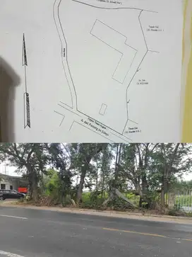 ‼️JUAL CEPAT‼️TANAH SIDAYU GRESIK COCOK BUAT PABRIK ATAU PERGUDANGAN