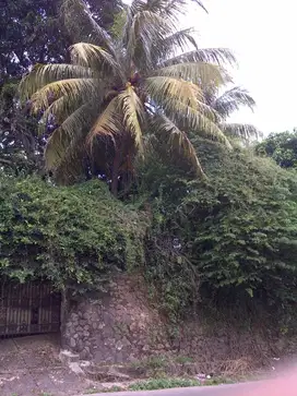 Dijual TANAH POSISI JALAN RAYA di BINTARO LT 831 m2