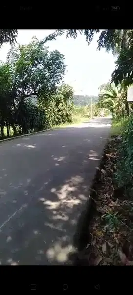 jual tanah pinggir jln kabupaten 3 haktar