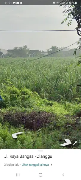 Lahan luas 4,5 HA harga 400 ribu permeter di Bangsal, Mojokerto