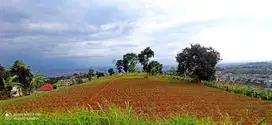 Tanah murah Mekar Saluyulokasi Belakang Dago Resor Pakar