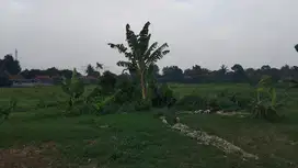Di Jual Tanah komersial di Setu Tangerang Selatan Banten