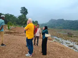 Tanah Sawah SHM Harga Terjangkau, Nempel Jalan Provinsi