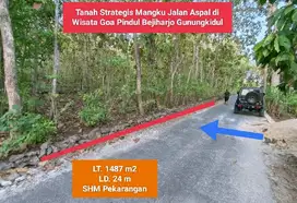 Jual Tanah Murah di Wisata Goa Pindul Bejiharjo Gunungkidul