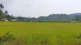 lahan bagus cocok untuk wisata alam