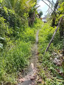 Dijual Tanah Tegal 13,07 Ara di BNR Sembewuk, Pejeng Kaja – Dekat Ubud