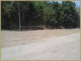 Tanah Siap Bangun Legalitas SHM 500 m Dari UII Harga Murah