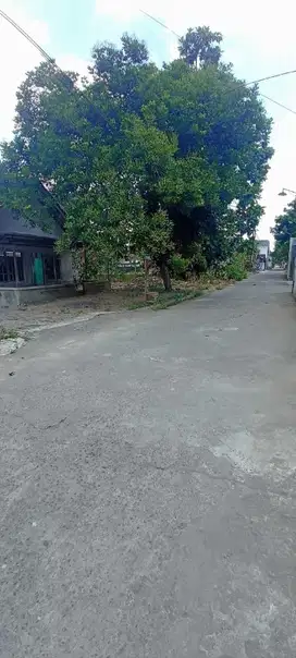 Dijual Tanah Bonus Runah  Di Wedomartani, Utara Stadion Maguwo