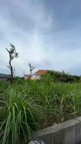 Dijual tanah kavling nempel udayana