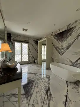 The Palace Residence Polonia Super Luxury Yuk Survei Rumah