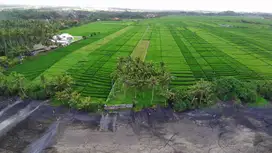 tanah premium pantai pasut 700m dari pantai