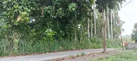 Tanah  2300 Meter, Buat Villa di Ciapus